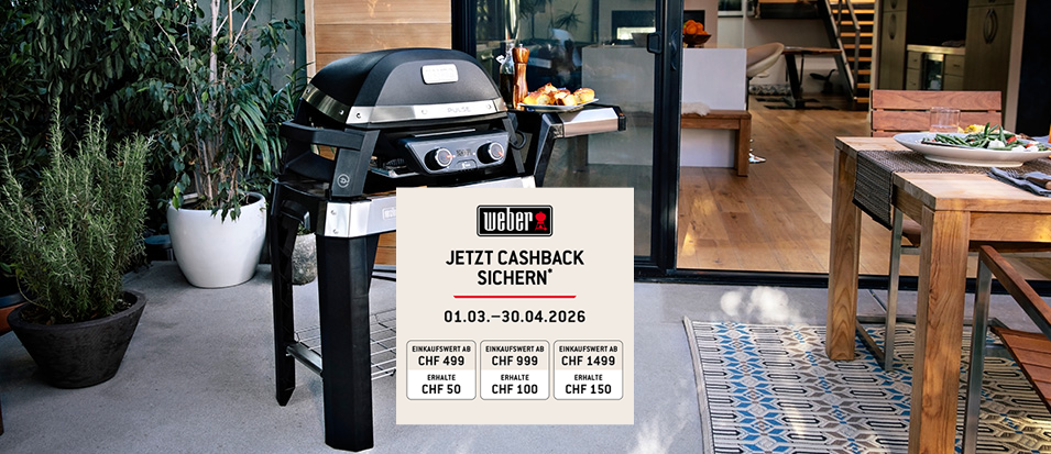 Weber Elektrogrill