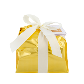 Panettone Tradizionale 500g von Boella